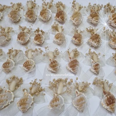 Espinasso Deniz Kabuğu Magnet, Söz, Nişan, Nikah Hediyeliği 3831 - 2