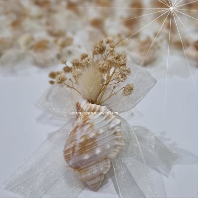 Espinasso Deniz Kabuğu Magnet, Söz, Nişan, Nikah Hediyeliği 3831 - 1